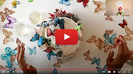 Making a butterfly fly!