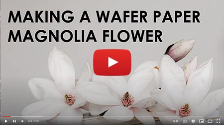 Making a wafer paper magnolia flower