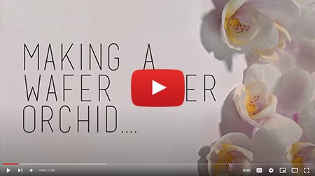 Make a wafer paper orchid 