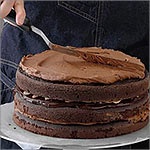 The Art of Cake Decorating